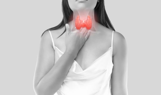 Schilddruese_Anita_Peer_AdobeStock_476711027.jpeg Schilddruese_Anita_Peer_AdobeStock_476711027.jpeg