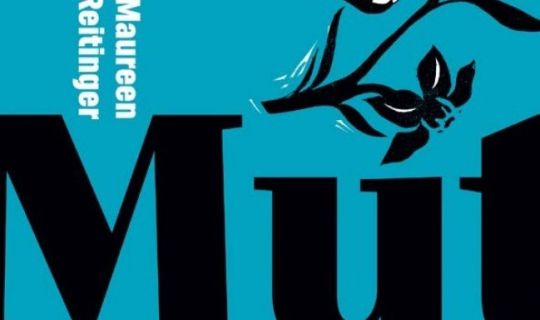 Screenshot 2026-03-03 114717.jpg Screenshot 2026-03-03 114717.jpg