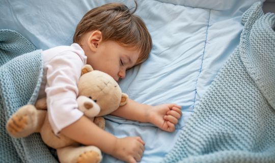 Vortrag Schlafcoach Vortrag Schlafcoach