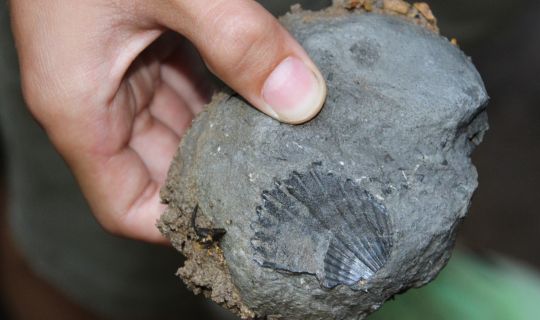 IMG_0730.JPG IMG_0730.JPG