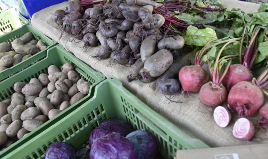 HerbstgemÃ¼se auf Verkaufsstand