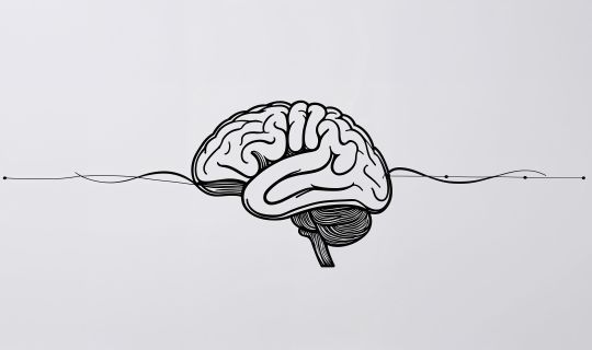 geralt-human-brain-9826638.jpg