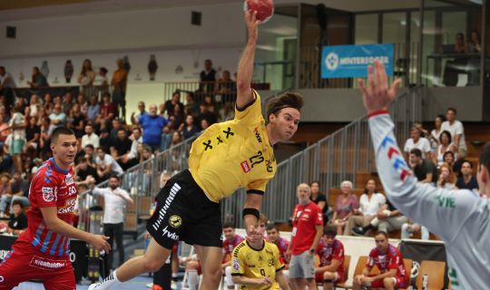 Bregenz Handball-klein.jpg