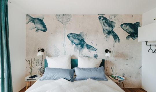 Rotes Haus Bregenz See Wohnung