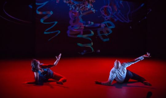 Bregenzer Frühling Bregenzer Frühling