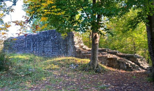 Cornelia Mathis-Rothmund Ruine Sigberg, Göfis
