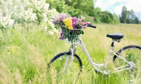 Fahrrad Fahrrad