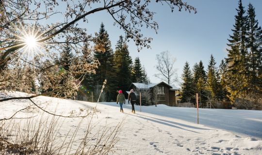 Winterwandern im Schnee bei Sonne am Bödele Winterwandern im Schnee bei Sonne am Bödele