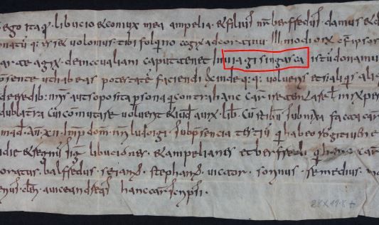 2025_Namenstag Gisingen_Via_Gisingasca.JPG 2025_Namenstag Gisingen_Via_Gisingasca.JPG