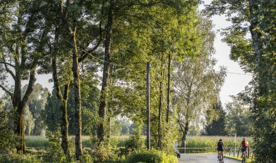 Radfahren am Bodensee Radfahren am Bodensee