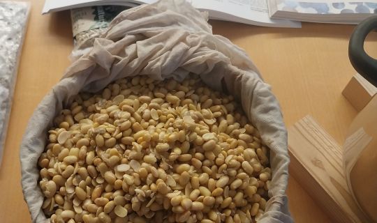 2025_Einfachmachen_Tempeh.jpg 2025_Einfachmachen_Tempeh.jpg