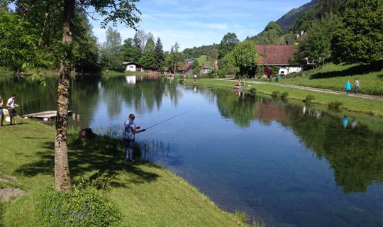 FV Fallersee FV Fallersee