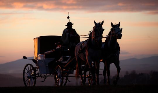 mailaenderbote1.jpeg mailaenderbote1.jpeg