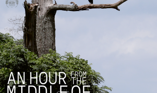 image-768-b46863b382d653b5f162a0b50a881c96.png image-768-b46863b382d653b5f162a0b50a881c96.png