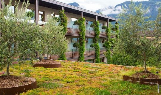 AufbÃ¤umen â mit DachgÃ¤rten und GrÃ¼nfassaden_Â© Conrad Amber.jpg