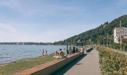 Bregenz Bodensee Pipeline