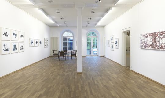 Barbara Neyer - copyright: Arthouse Bregenz, Arthouse