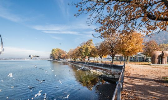 Herbst am See Herbst am See