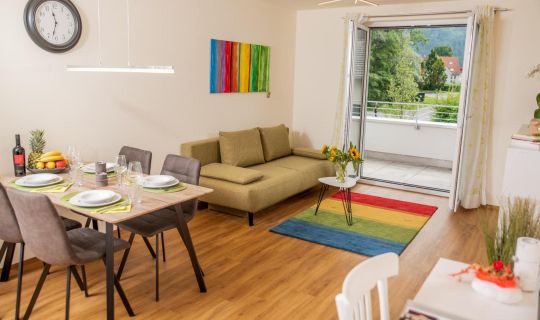 Cityapartment Dornbirn 50 qm