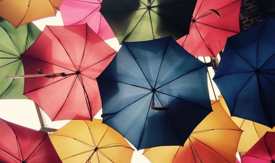 Regenschirme Regenschirme