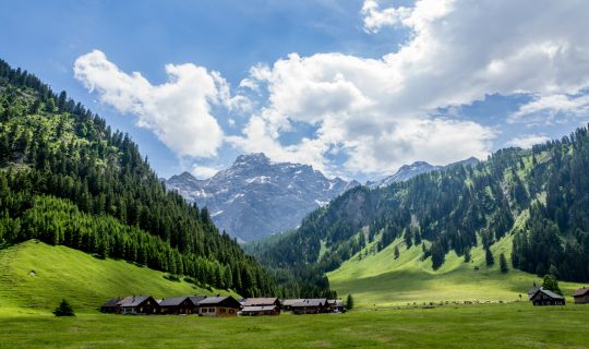 Nenzinger Himmel mit Panüeler Kopf Nenzinger Himmel mit Panüeler Kopf
