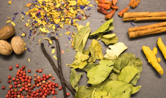 7Spices 7Spices