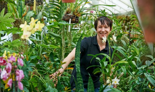 Müllis_Blumenshop_2014_MarcelHagen Müllis_Blumenshop_2014_MarcelHagen