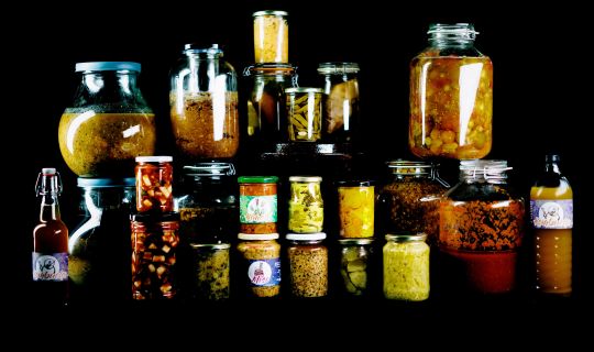 Bacteriosapiens und Klostergarten Mehrerau © matakstudios, Bodensee-Vorarlberg Tourismus (20).jpg Bacteriosapiens und Klostergarten Mehrerau © matakstudios, Bodensee-Vorarlberg Tourismus (20).jpg