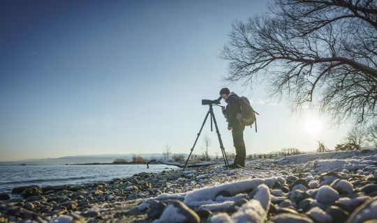 Birdwatching Rheinspitz Johanna Kronberger