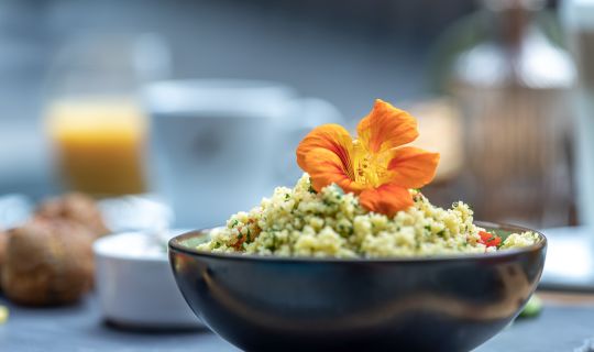 camping-dornbirn-frühstück-OrientalischesFrühstück - (c)DornbirnerSeilbahnAGRestaurant Frischluft am Camping Dornbirn camping-dornbirn-frühstück-OrientalischesFrühstück - (c)DornbirnerSeilbahnAGRestaurant Frischluft am Camping Dornbirn