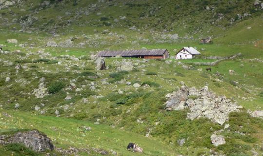 Julia Mangeng - Silvretta Historica, B. Furrer Ftan-Urschai