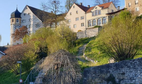 Bregenz-Oberstadt-Deuringschlössle-1-c-A.-Heim-2020-1024x768.jpg Bregenz-Oberstadt-Deuringschlössle-1-c-A.-Heim-2020-1024x768.jpg