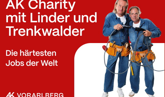 INS AK Charity Kabarett Kulturfolder 3zu2 2025_web.png INS AK Charity Kabarett Kulturfolder 3zu2 2025_web.png