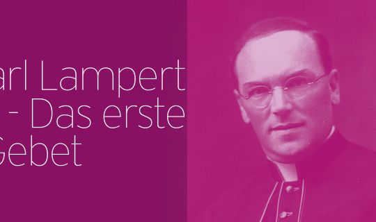 VLT_Sujet_WEB_LAMPERT.jpg VLT_Sujet_WEB_LAMPERT.jpg