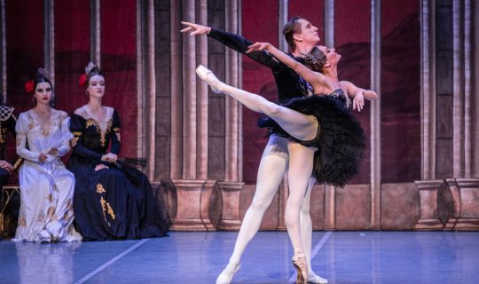 Schwanensee.jpg Schwanensee.jpg