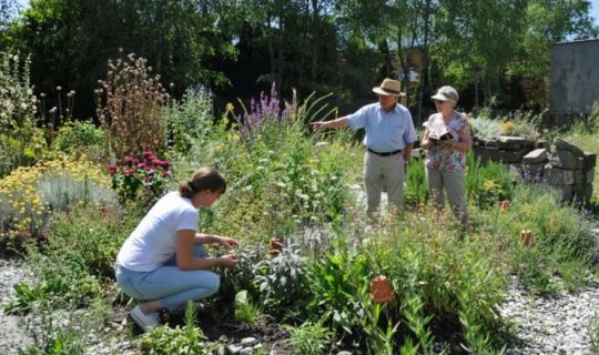 KrÃ¤utergartentreff_Bild KI bearbeitet.jpg
