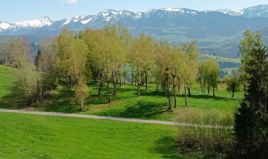 Gemeinde Langen Gemeinde Langen