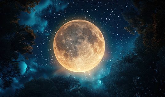 Vollmondschwimmen Vollmondschwimmen.jpg