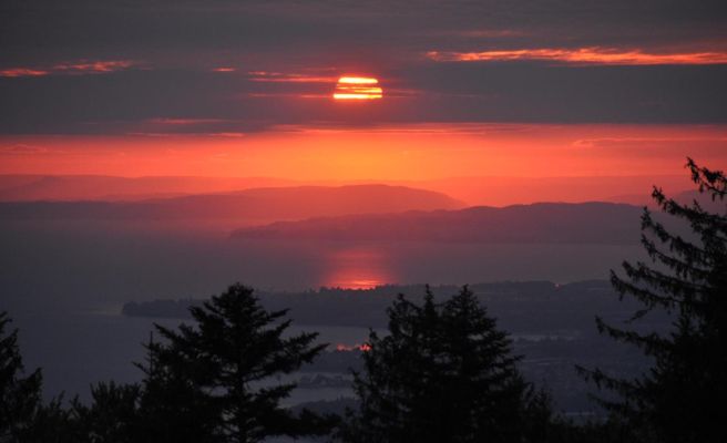 Ferienwohnung Reichart