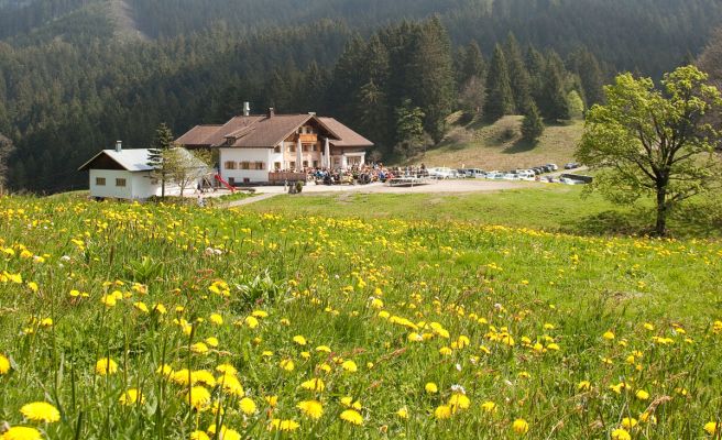 Gasthof MillrÃ¼tte Resort, GÃ¶tzis