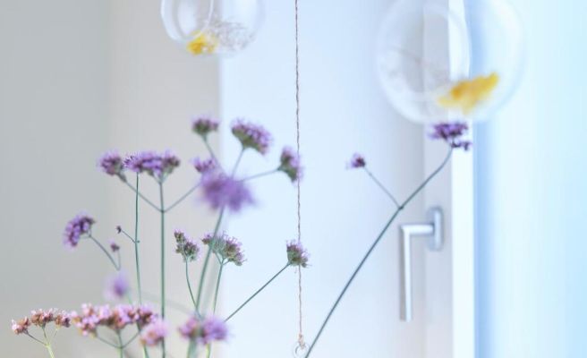 Rotes Haus Bregenz Garten Wohnung