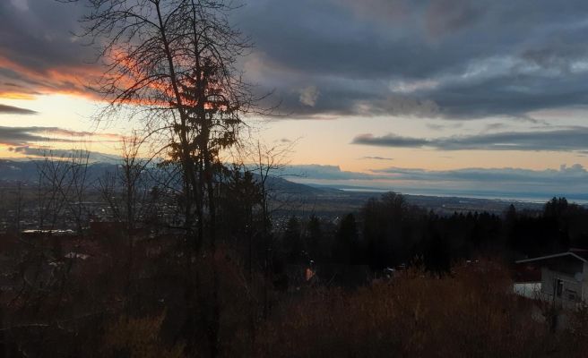 Ferienwohnung Bodenseeblick