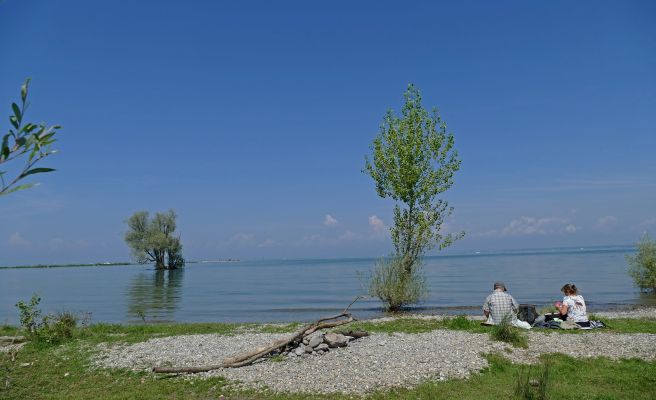 Am Rheinspitz Am Rheinspitz