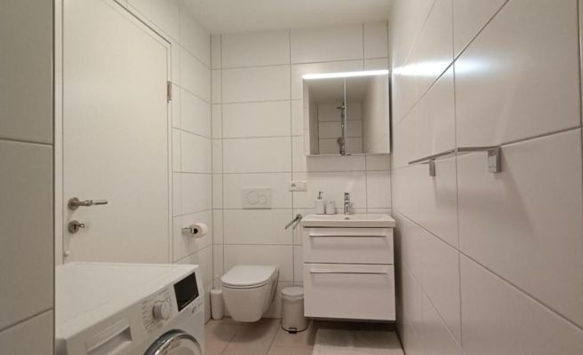 Neu erstellte Wohnung mit Balkon in Hard