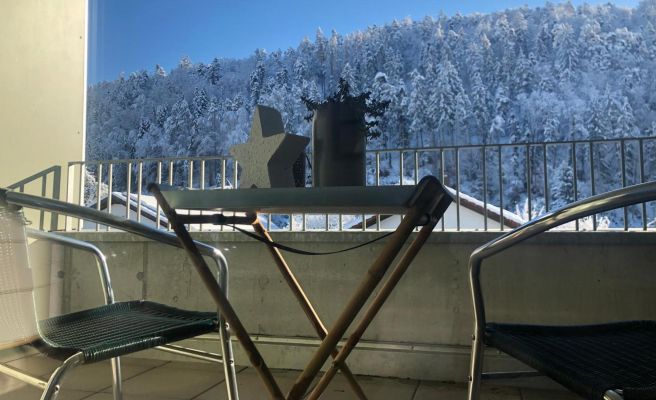 Apartments "Am Ardetzenberg"