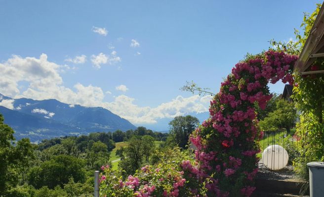 Ferienwohnung DÃ¼ns4