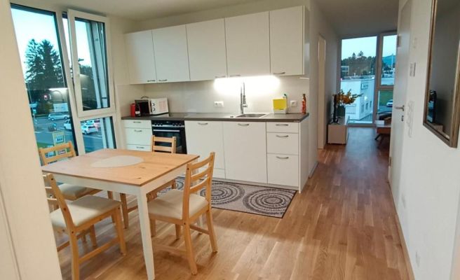 Neu erstellte Wohnung mit Balkon in Hard