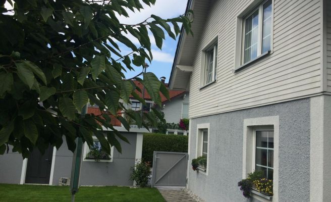 Ferienwohnung Grienwald Ferienwohnung Grienwald