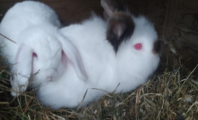 Haus Abendrot Haus Abendrot