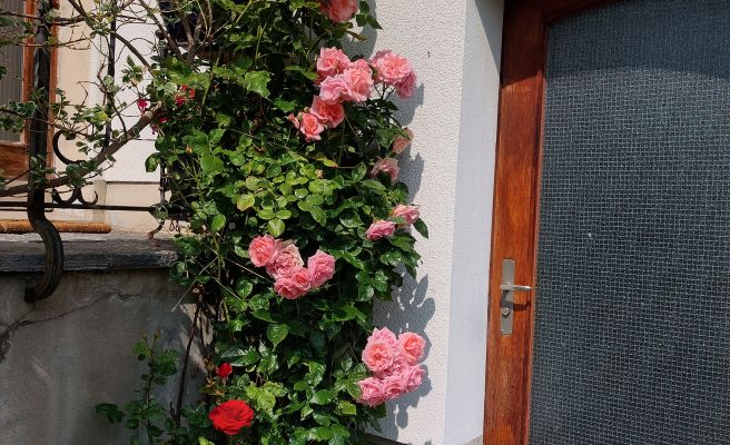 AuÃenansicht Ferienwohnung DÃ¼ringer Feldkirch